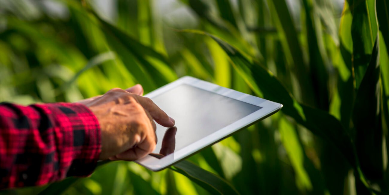 Agência de Marketing para agronegócio em Barra do Garças